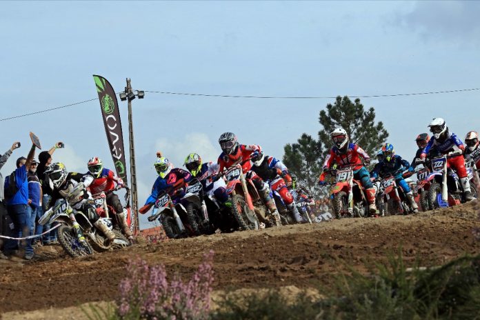 2019_MXJuncal