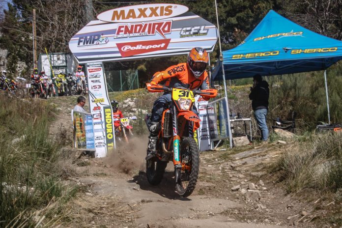 2019_CNEReguaLOliveira