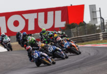 WSS 300 Portimão: Alonso e Borges foram ‘wild card’