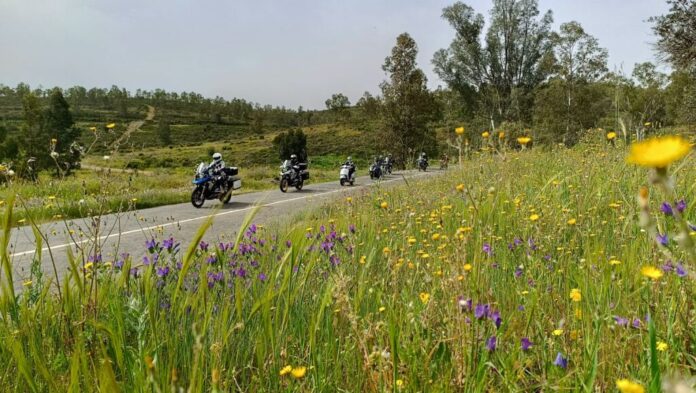 Alentejo multicolor