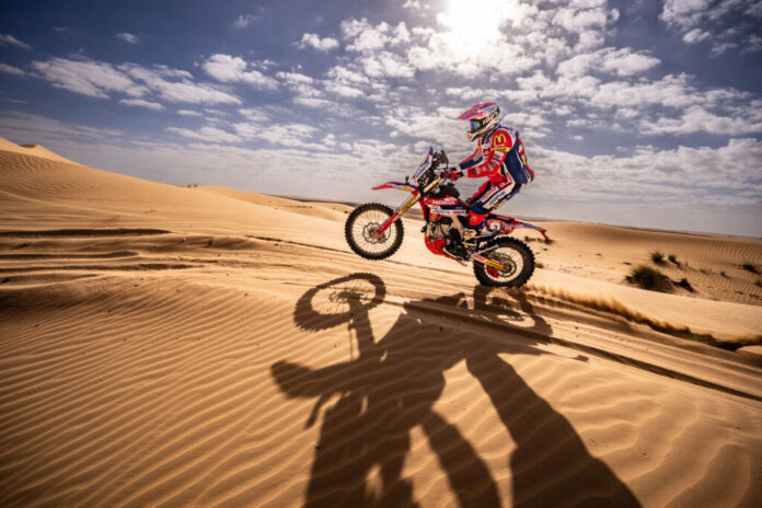 Pedro Bianchi Prata DIB24_3_EdoBauer_EDU0235.jpg