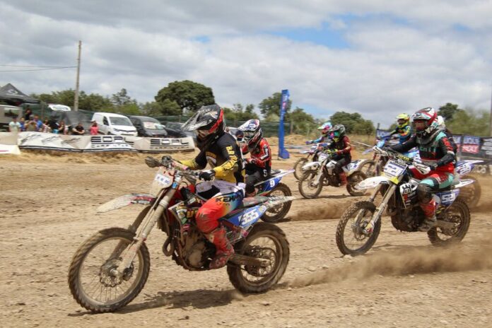 MX Feminino