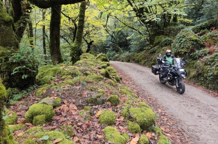 002 MRT Guimarães 2025